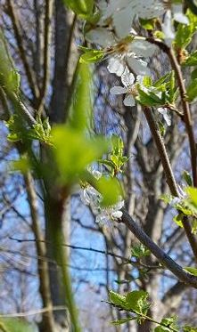 Og glade glimt fra skovturen.