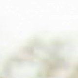 unsplash_SRtCw1eihyA(2)
