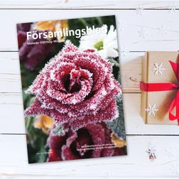  MOHEDA vinter Mockups