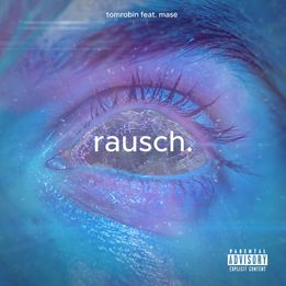 rausch. - tomrobin feat. Mase