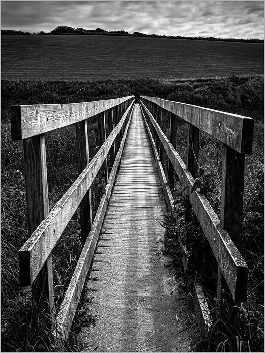 Bridge to Nowhere
