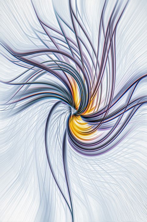 Vortex
