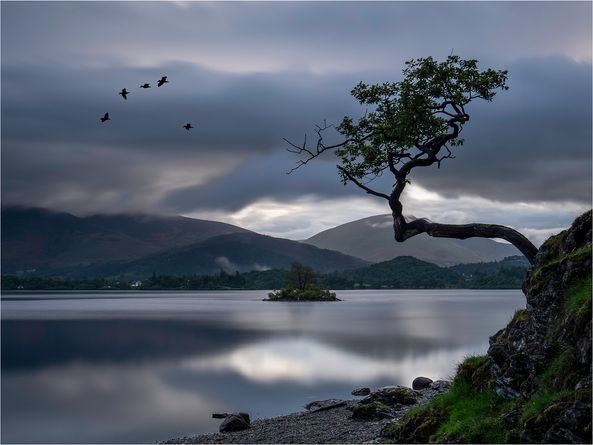 Tranquil Morning