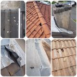CollageMaker_20210716_192513349