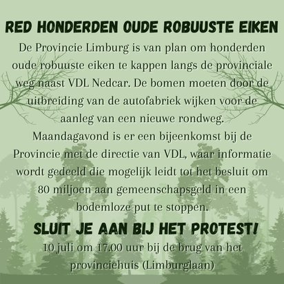 Red de oude VDL Nedcar eiken  - Kappen met Kappen