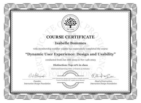 Dynamic User Experience: Design and Usability