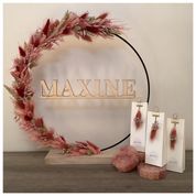 Maxine5