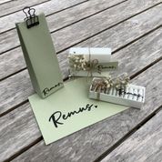 Remus 17