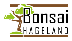 Bonsai Hageland Tienen