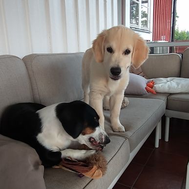Axita & Sandy