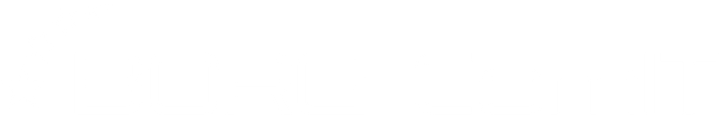 Borg ComIT AS