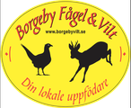 Borgeby Fågel & Vilt