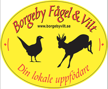 Borgeby Fågel & Vilt