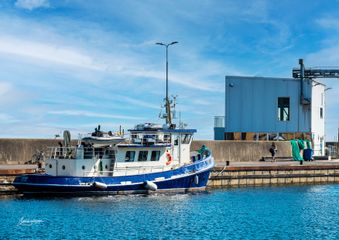 Art. 21103 - Tejn Havn 4