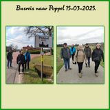 501 Bureis Poppel 2025