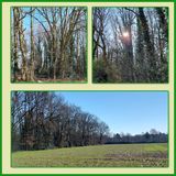 504 Lentetocht 2025