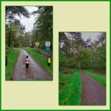 505 Bostocht 02-11-2024