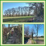 505 Lentetocht 2025