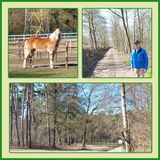 506 Lentetocht 2025