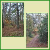 508 Bostocht 02-11-2024