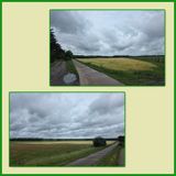 509 Limtrail 2025
