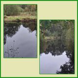 520 Clubwandeling 2024
