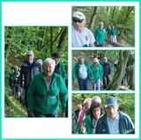 523 Wandelweekend 2025