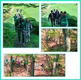 524 Wandelweekend 2025