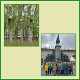527 Oostende