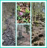 533 Wandelweekend 2025