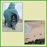 534 Oostende