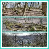 534 Wandelweekend 2025