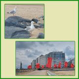 536 Oostende