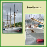 545 Oostende
