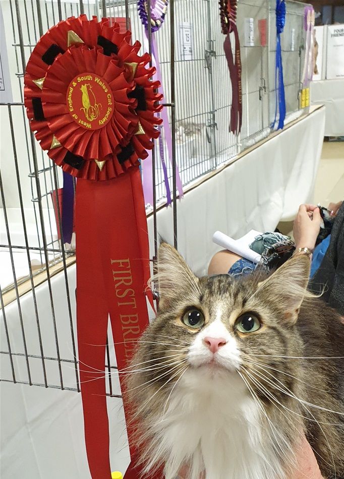 Proud Tilly, winning her Title.