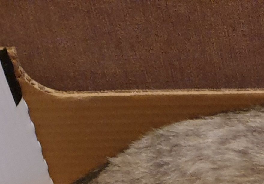 Quenza Sylvie de Maison Blanche has also decided she like a day out at shows! She too is doing very well. Again we hope she has success as an adult during 2020.