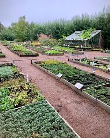 Vy över plantlådor