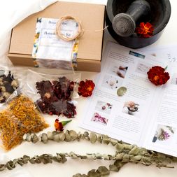 Natural Dye Kits 