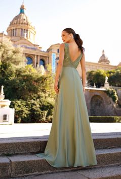 2024_Ro599L OLIVE 3_BD