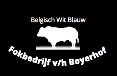 Fokbedrijf het Boyerhof