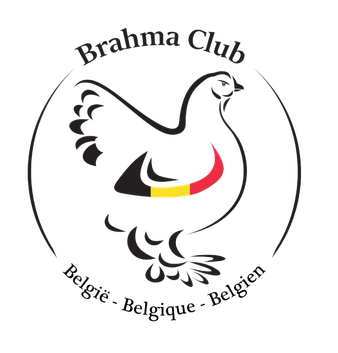 Brahma Club Belgium
