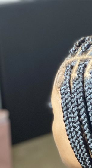Medium box braids waist custom ombré color 350