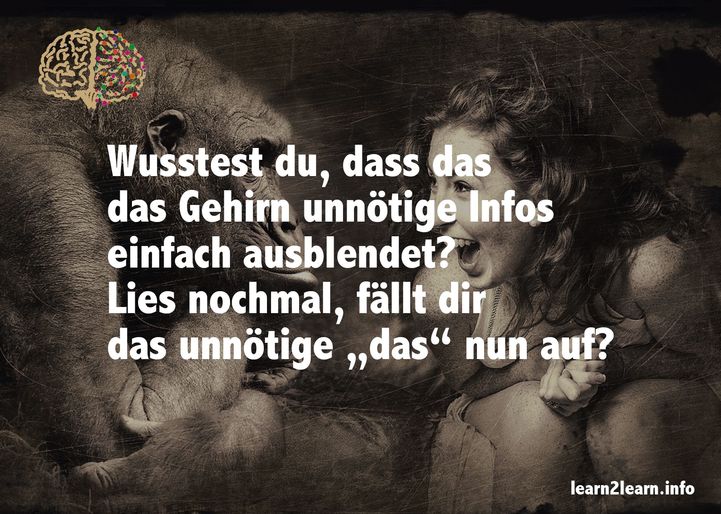 Bild5