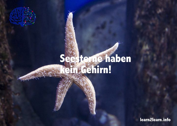 Bild7