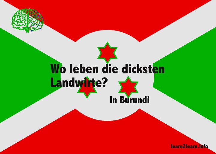 Bild8