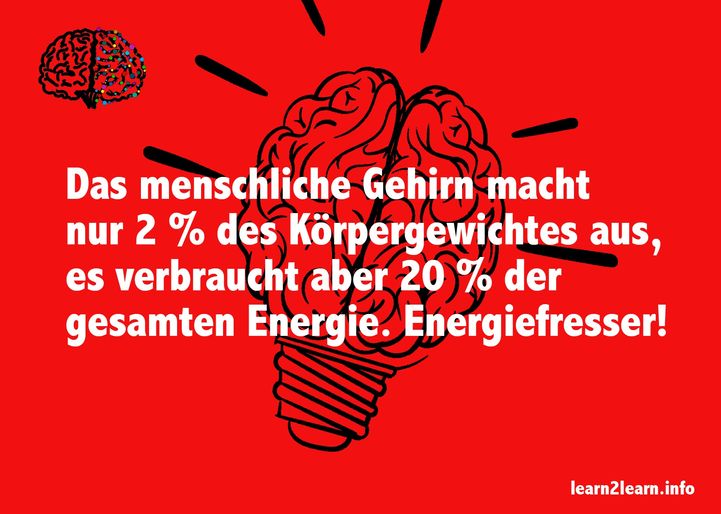 Bild9