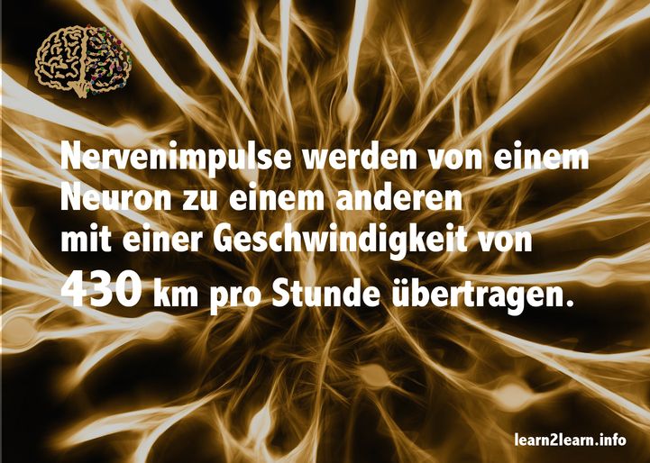 Spruchkarte_10.18_Gschwindigkeit