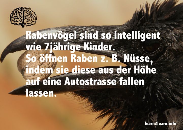 Spruchkarte_10.18_Raben