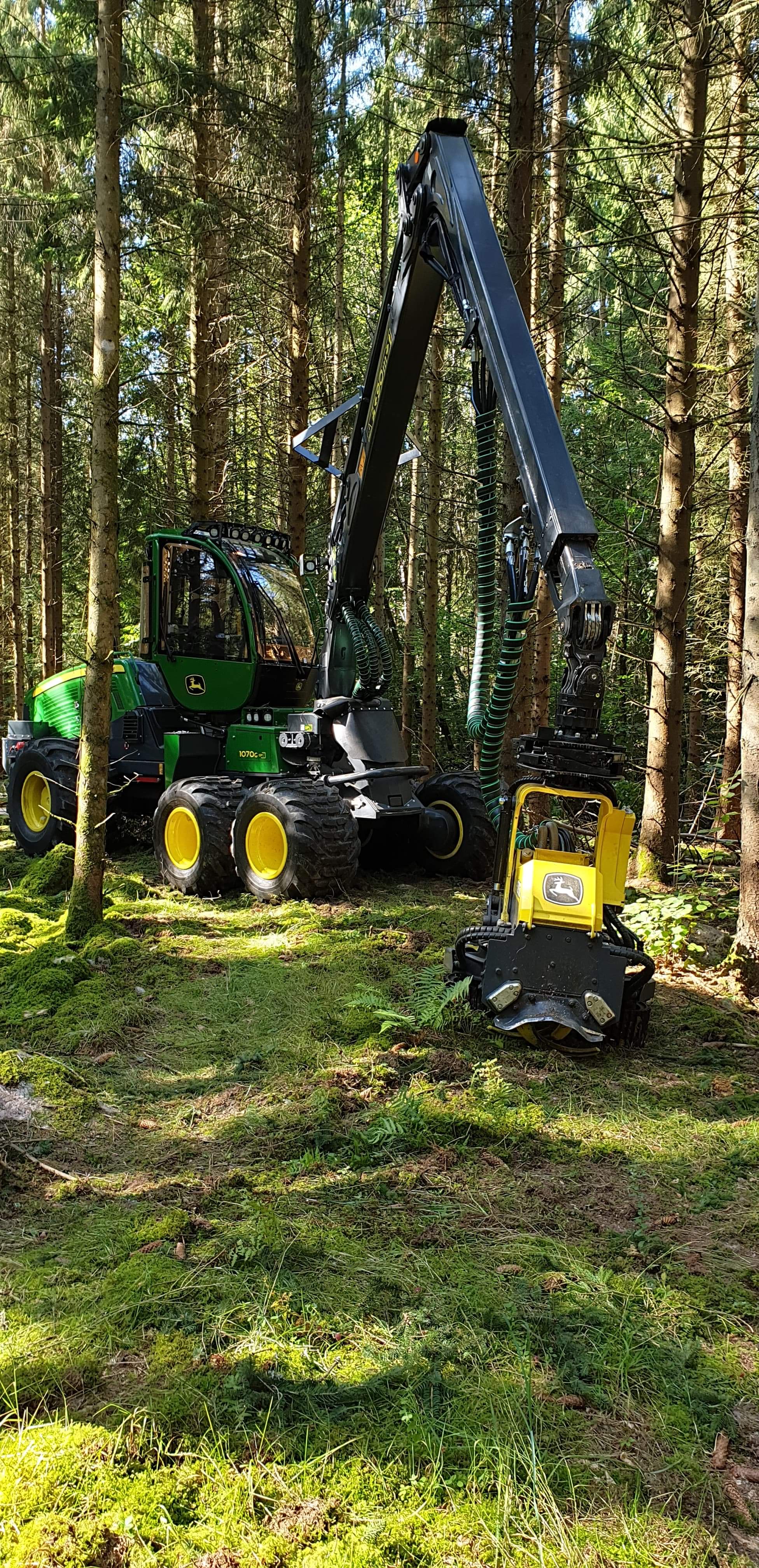 John Deere i gallring