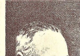 Der anspruchsvolle aber sparsame Musiker kauft bei Johannes Adler, Markneukirchen i. Sa. Man beachte den Vornamen Johannes genau. Preisbuch über alle Schul-, Haus- und Orchesterinstrumente auf Verlangen umsonst